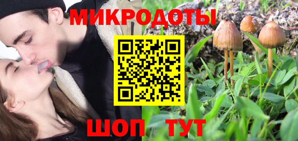 Псилоцибиновые грибы Cubensis  даркнет сайт  Удомля  Вход с VPN 
